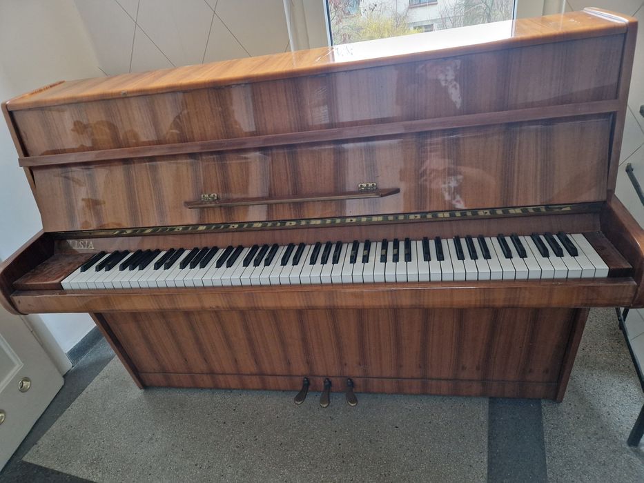 Pianino calisia jasny brąz