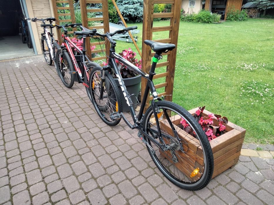 Giant roam 4 rama xl