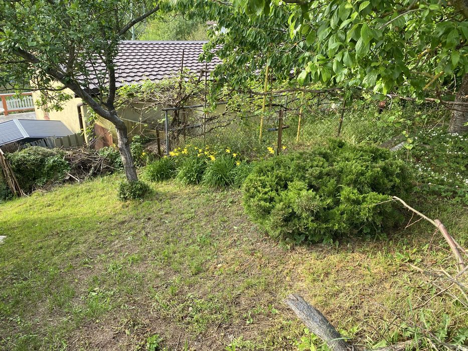 Rodzinny Ogród Działkowy im. Mieszka I