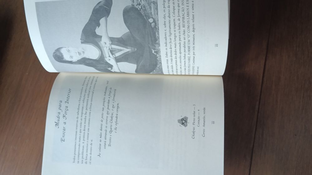 Livro Mudras que curam