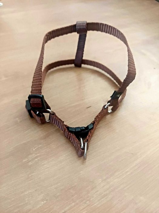 Trela e Arnês/Coleira