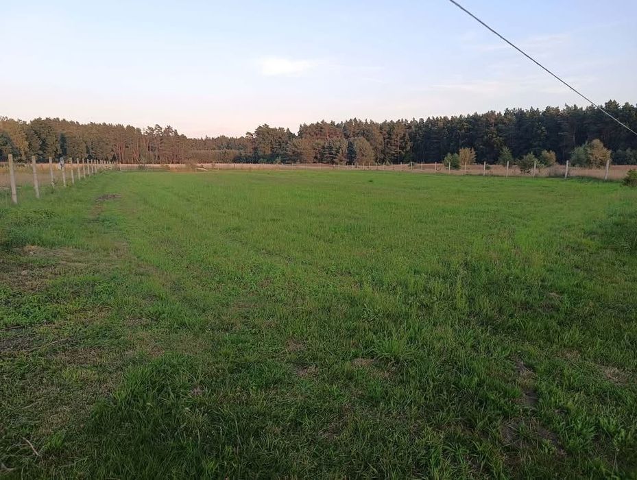 Działka  rolni-budowlana 30,01 ar