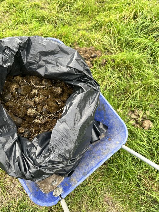 Obornik koński workowany ok 20kg