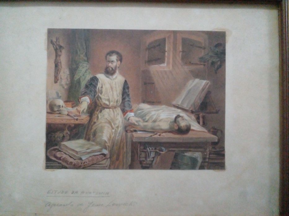 Aguarela João Lewicki XIX