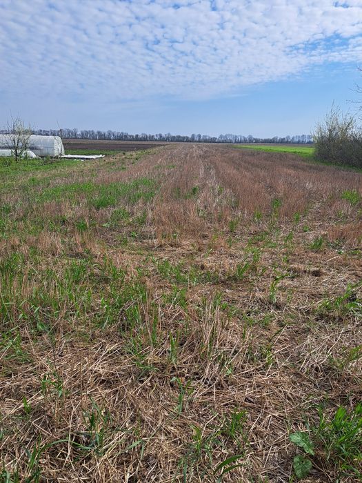 Продам земельну ділянку