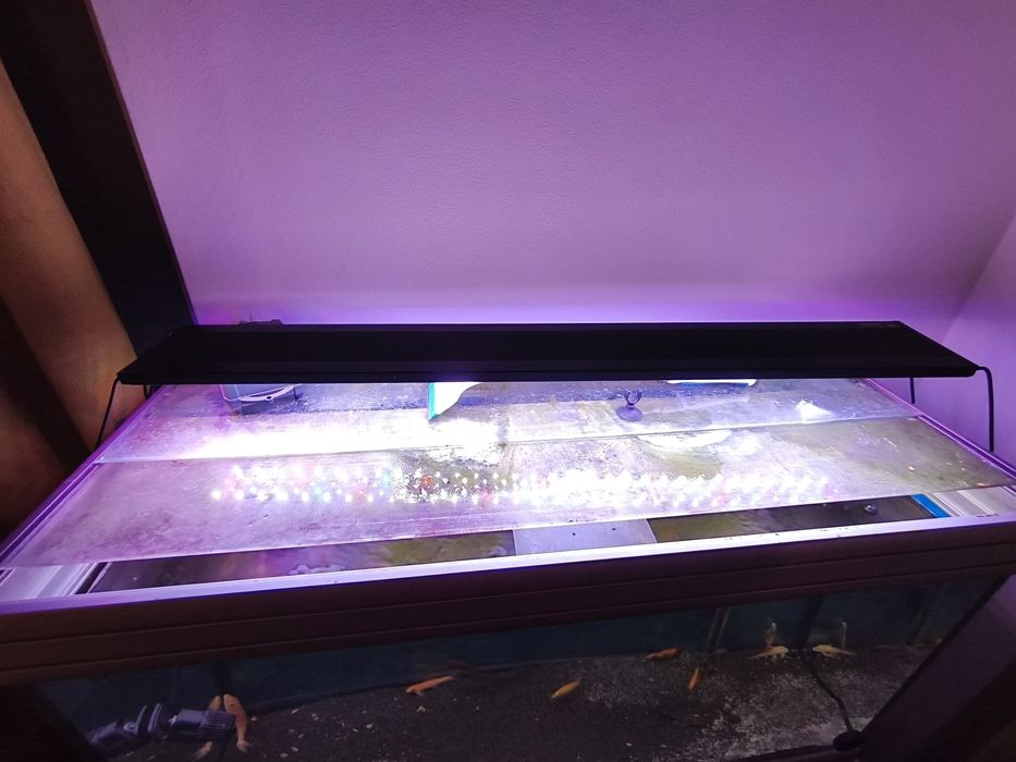 Aquário de 300 litros como novo.