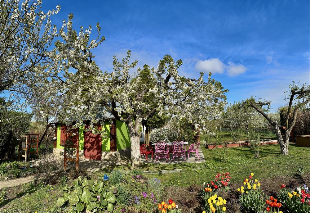 Malownicza działka ROD, duża powierzchnia.Mozliwość zakupu jednej.