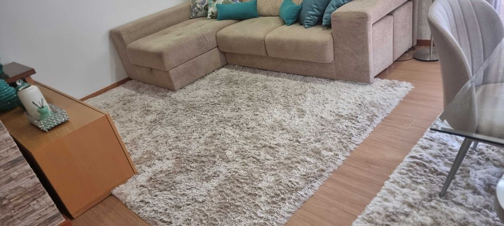 Vendo carpetes pelo medio  medidas 1.50/ 1.90m a outra 2 / 3m  a outra pelo rapado medida 1.50 / 1.90m
