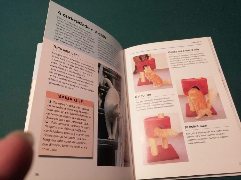 Livro “O Que É Que o Meu Gato Está a Pensar?”