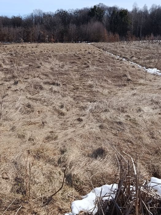 Продається земельна ділянка 14 соток 500 доларів