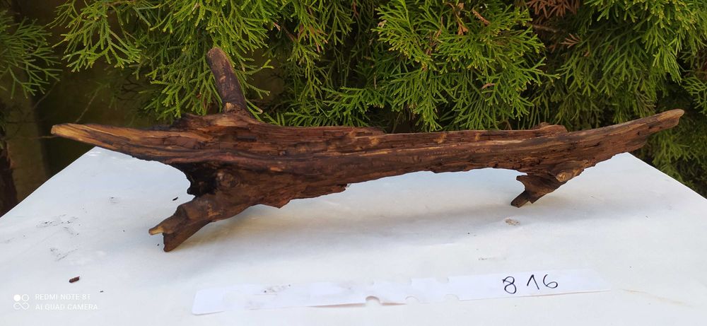 Korzeń do akwarium 38cm   816