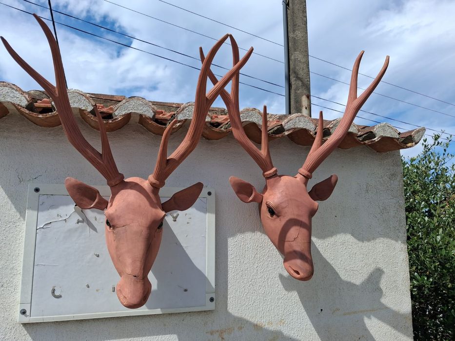 Cabeças de veado em madeira e olhos em vidro