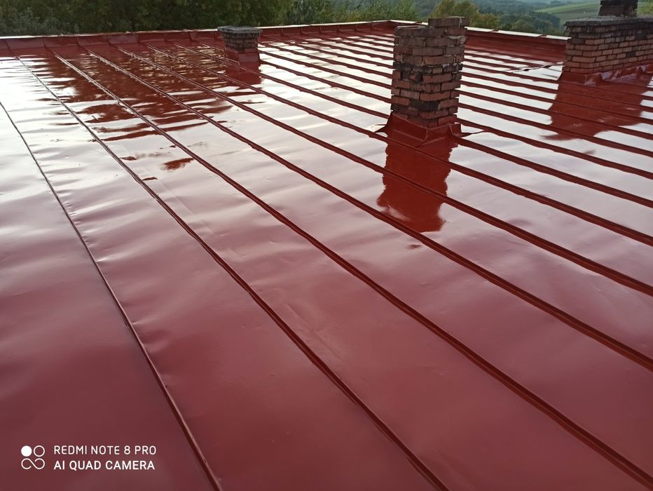 Malowanie dachów i elewacji