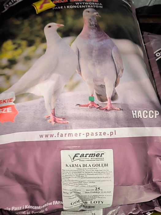 Karma gołąb bez kukurydzy i pszenicy