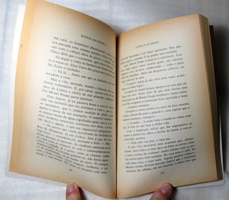 Livro O Fogo e as Cinzas