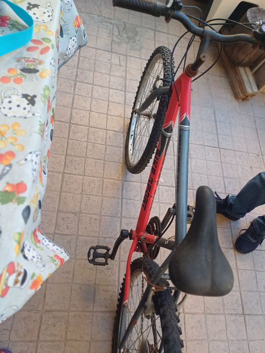 Bicicleta adulto