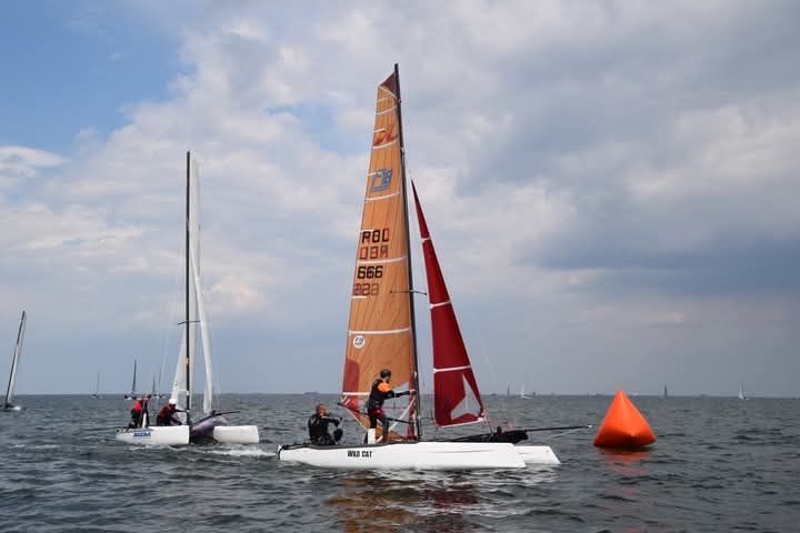 Katamaran F18 WildCat