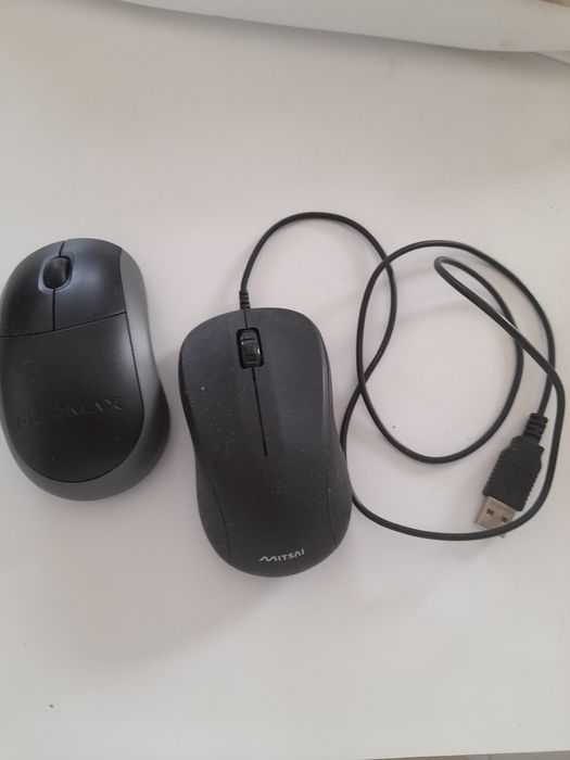 Rato otico e rato com fios64354256342658120