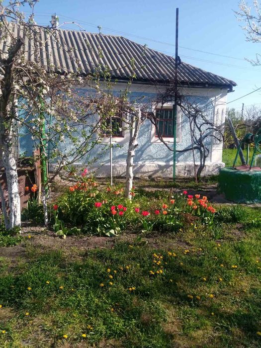 Продам будинок в селі Богданівка