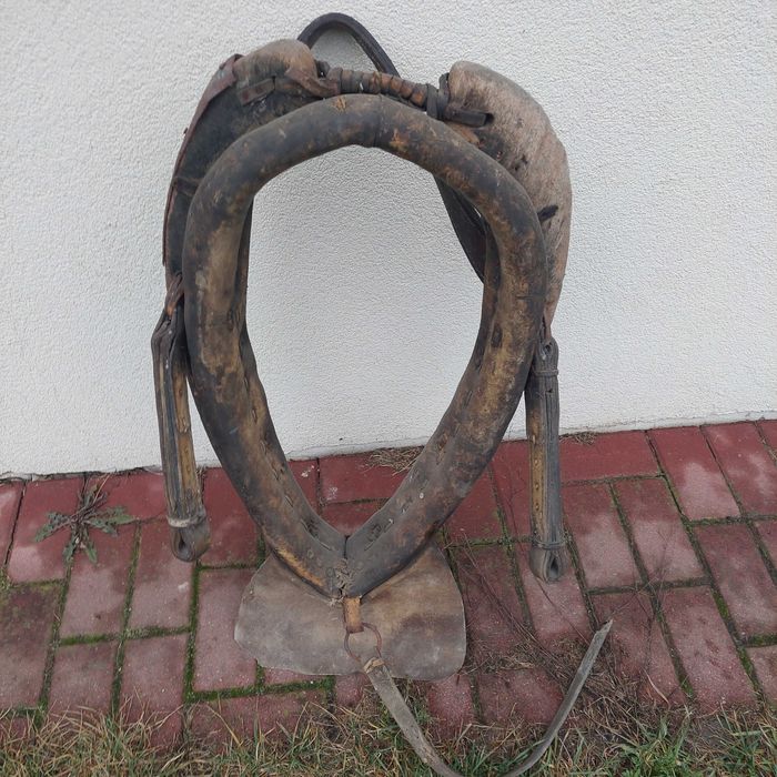 Sprzedam homonto dla konia