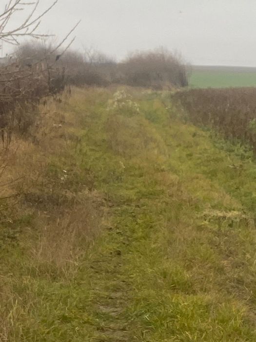 Продам пай в Колоденці 2.58 га.