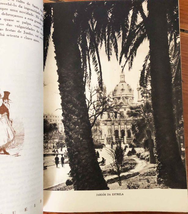 Livro das Festas de Lisboa 1955 muito raro