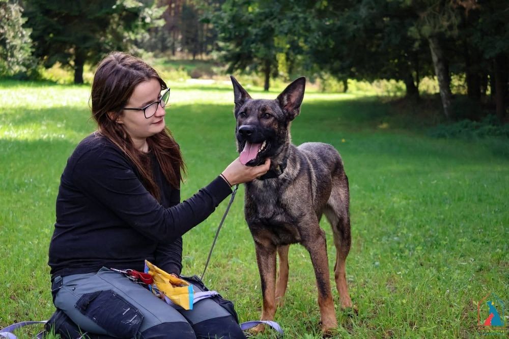 Forest 256/25 - SZUKA DOMU!