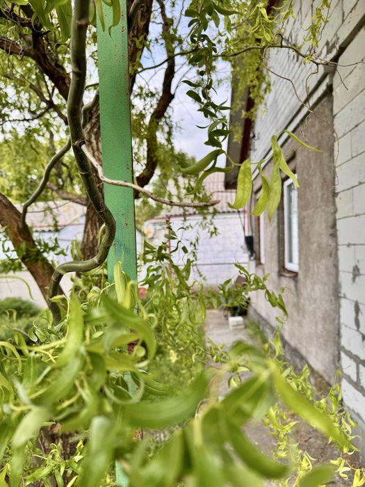 Продам капитальный дом, Березановка, АНД район