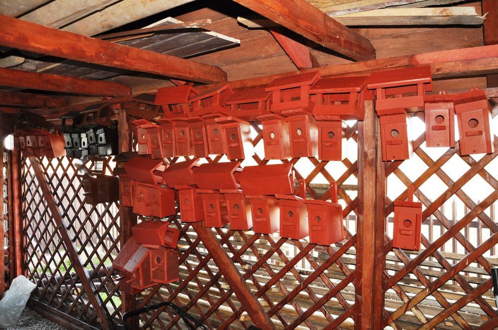 Budka lęgowa dla  ptaków typ Sokołowski.