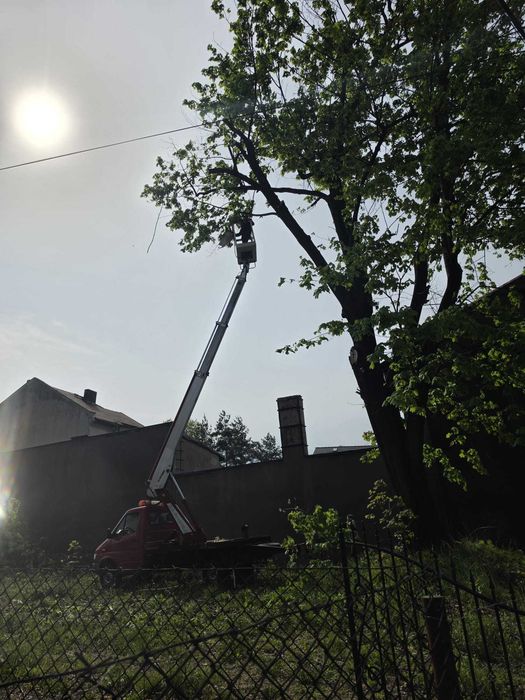 Podnośnik koszowy / zwyżka 16 m z operatorem — Bytom, Katowice, Śląsk