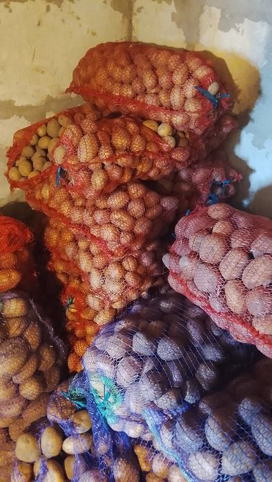 Продам картоплю.