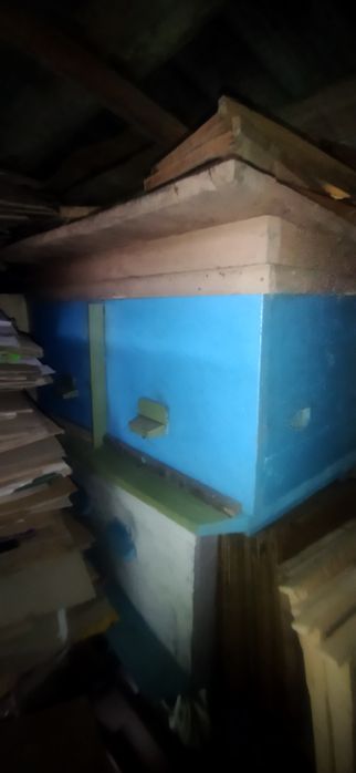 Вулик, пасіка продам