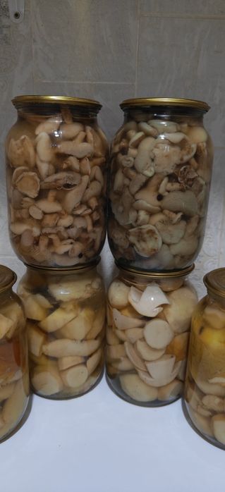 Білі Мариновані гриби та Маслюк