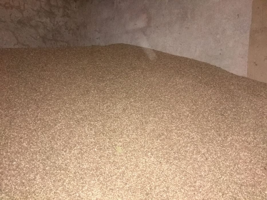 Пшениця Зерно .                .