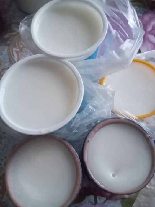 Продам козячий жир.