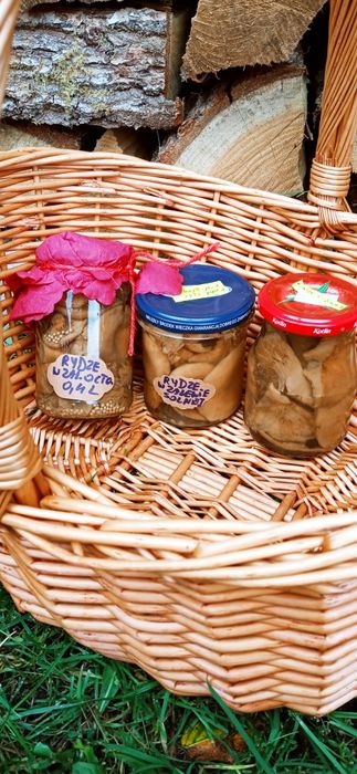 Rydze marynowane/ w zalewie solnej