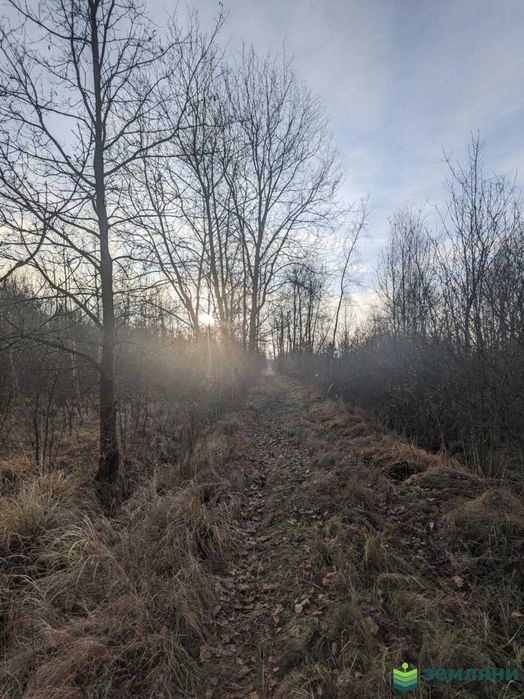 Дачна ділянка Ст Мочари 12 сот (9)