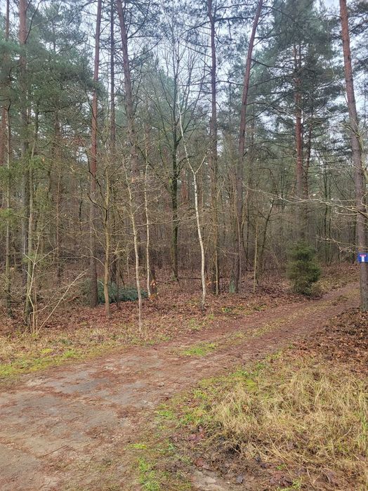 Działka letniskowa blisko Narwi