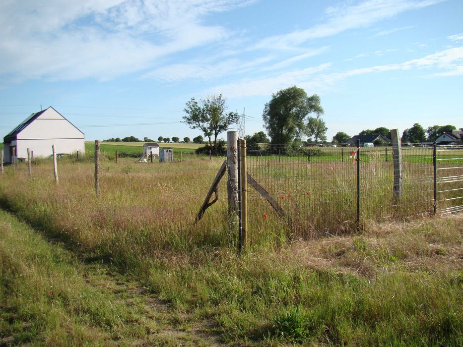 Działka budowlana Małkocin - Widok 6