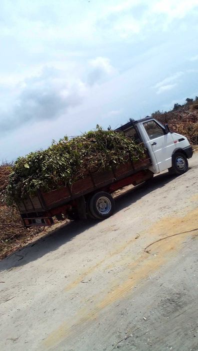 Recolha de Entulhos, Fretes, Limpeza de Monos