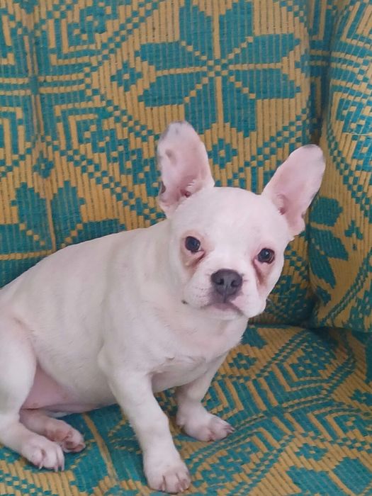 Маленький антидеприсант