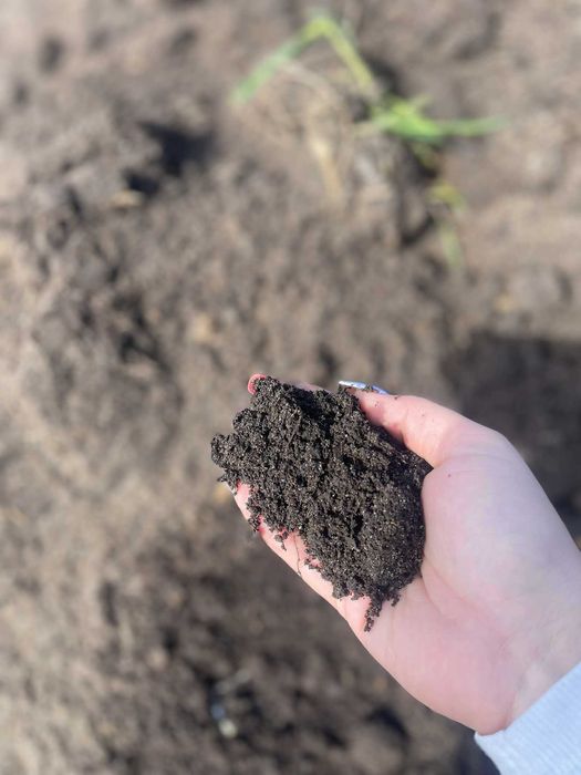 Torf OBOJĘTNY – idealny pod Twoją ziemię! PH7,5