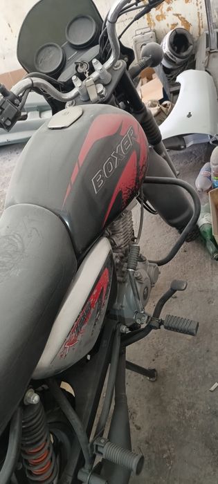 Boxer bm125x 2023