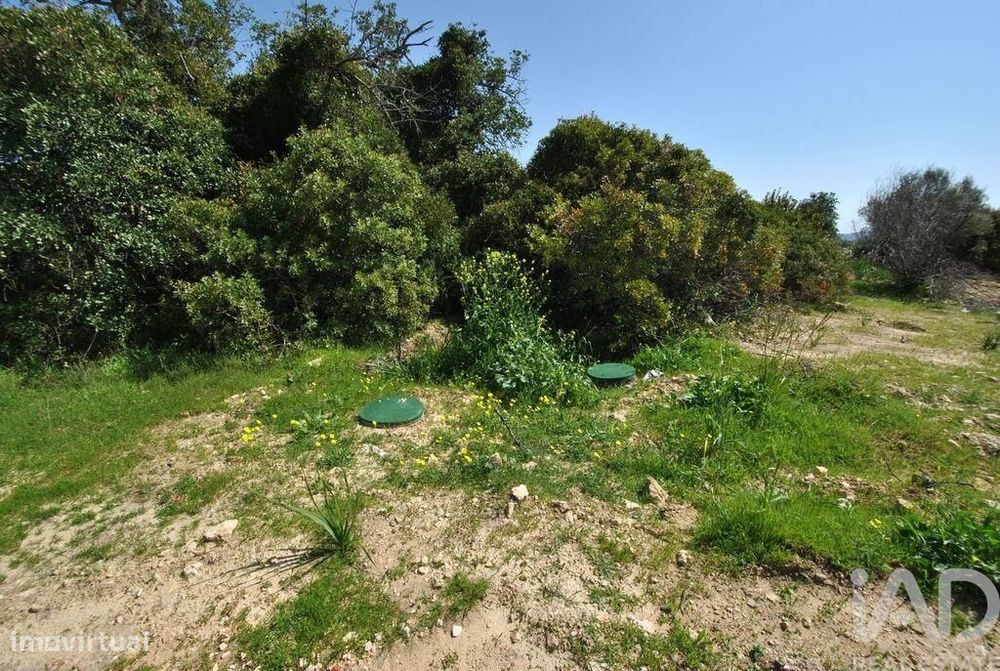 Terreno Agrícola em Paderne