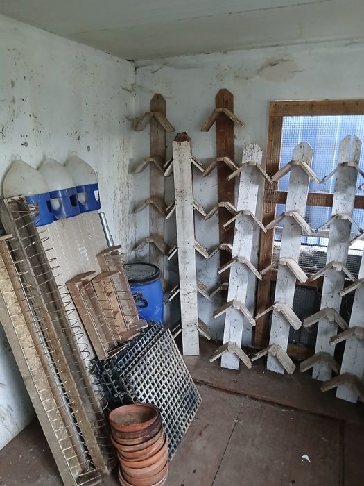 Acessórios para pombos correios