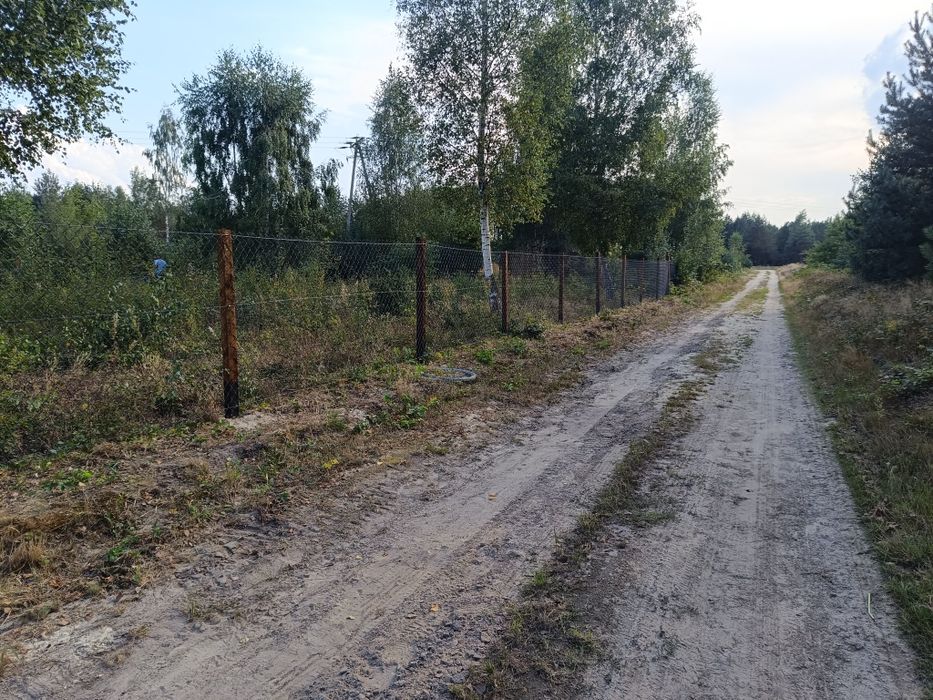 Ogrodzenia tymczasowe siatka leśna słupek betonowy drewniany montaż