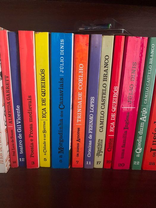 Lote Clássicos da Literatura Portuguesa (Camilo, Eça, Garrett, Júlio Dinis, etc.)