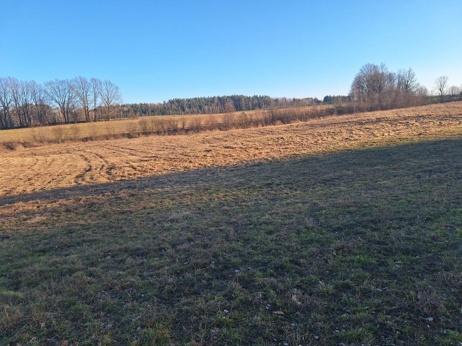 Sprzedam ziemię rolną na Mazurach . - Widok 4
