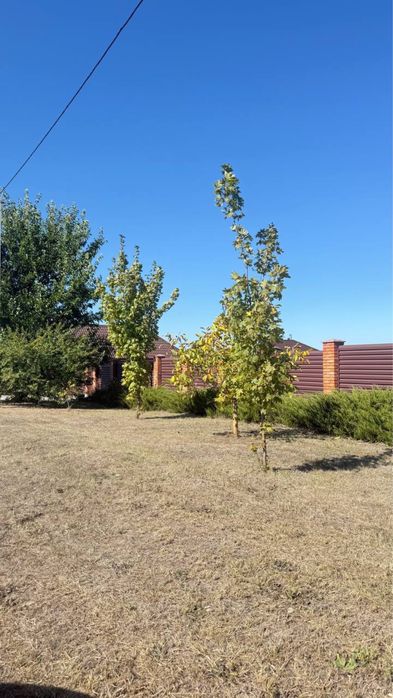 Продаж будинку Соколівка- Новопетрівка