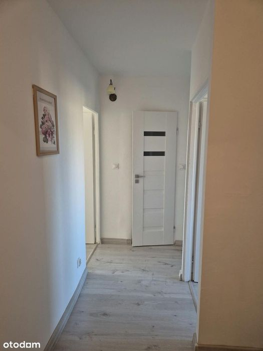 2 niezależne pokoje | 41,5 m² | po remoncie | balkon | Popowice